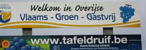 Photo by Kevin Mayne