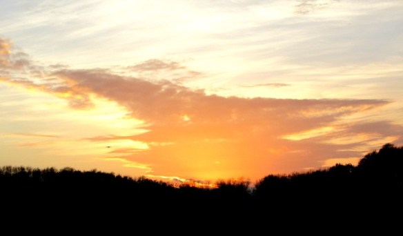 Photo by Kevin Mayne