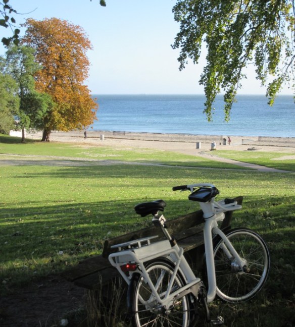 Photo by Kevin Mayne