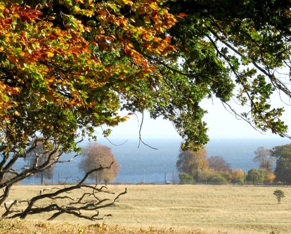 Photo by Kevin Mayne