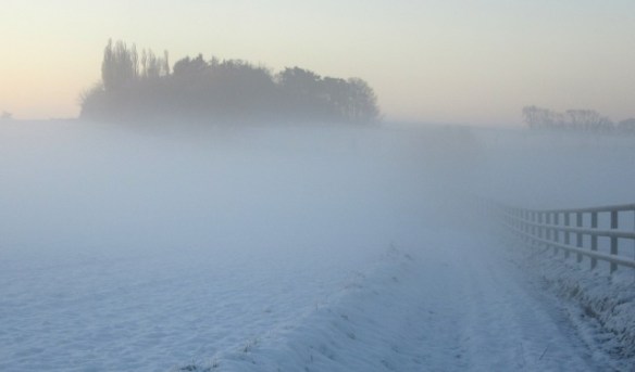 Photo by Kevin Mayne