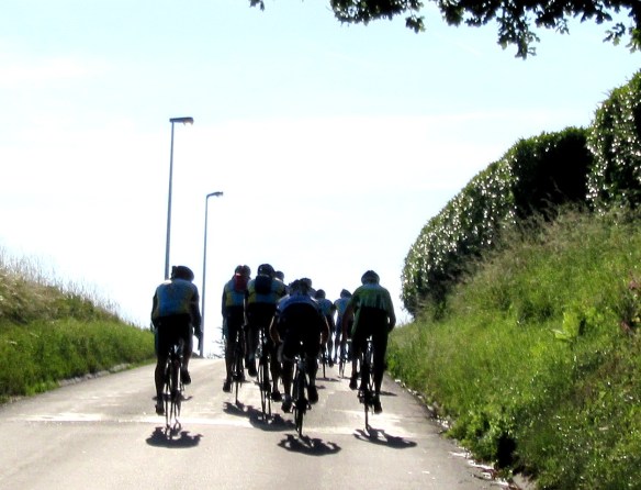 Photo by Kevin Mayne