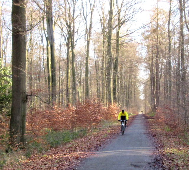 Photo by Kevin Mayne