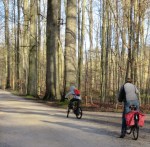 Photo by Kevin Mayne