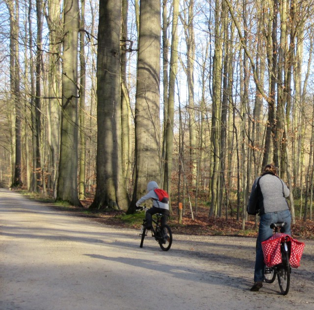 Photo by Kevin Mayne