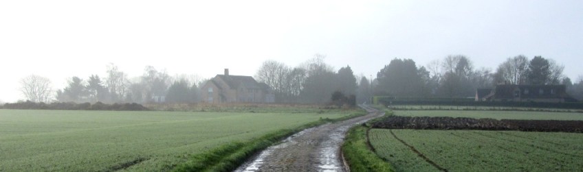 Photo by Kevin Mayne