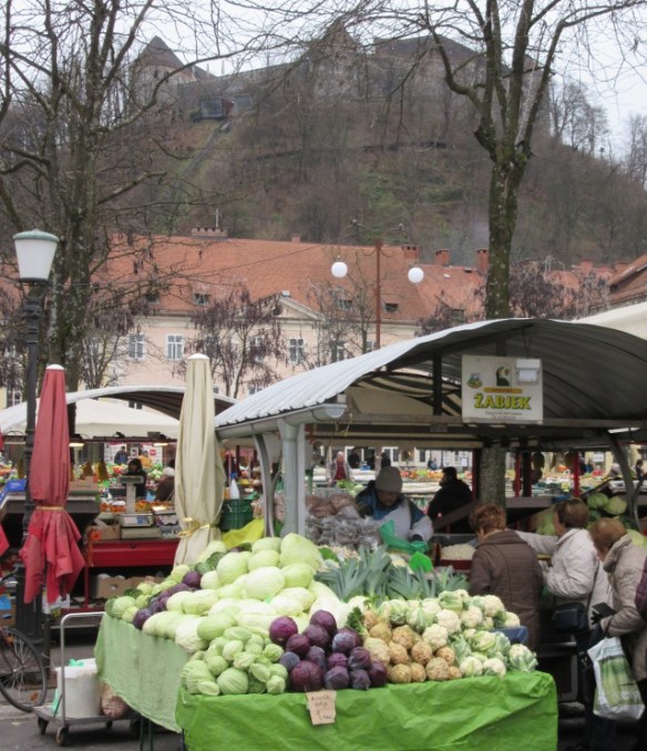 Photo by Kevin Mayne