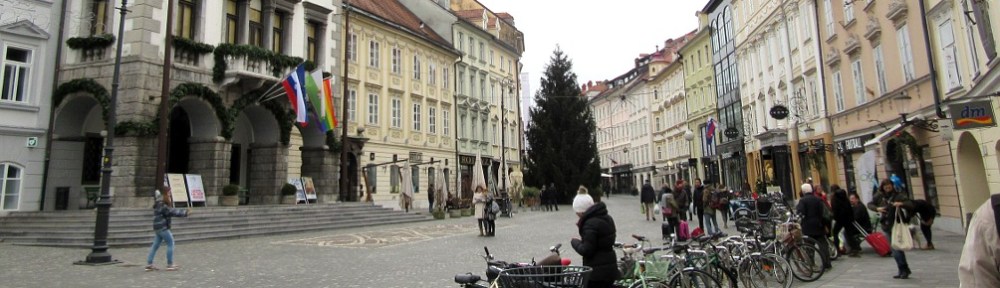 Photo by Kevin Mayne