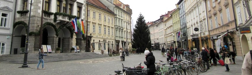 Photo by Kevin Mayne