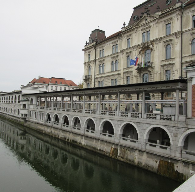 Photo by Kevin Mayne