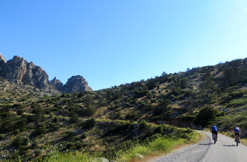 Photo by Kevin Mayne