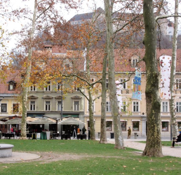 Photo by Kevin Mayne