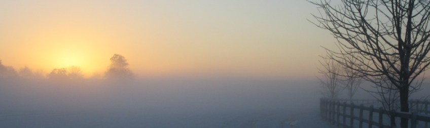 Photo by Kevin Mayne