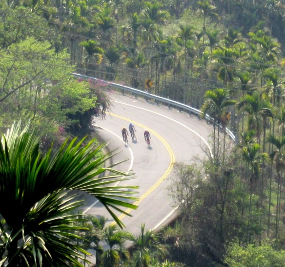 Photo by Kevin Mayne