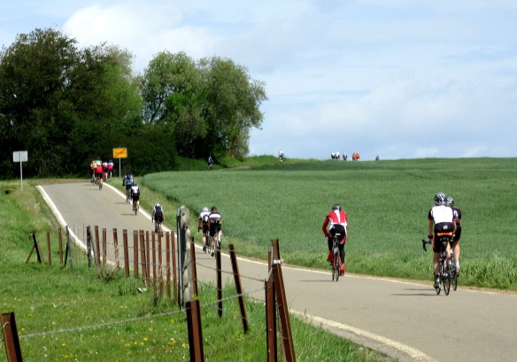 Photo by Kevin Mayne