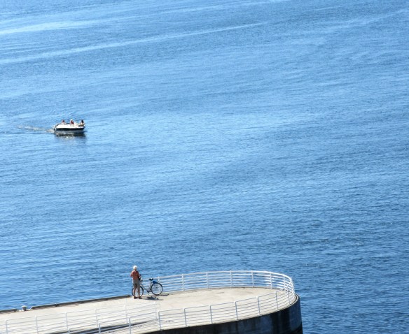 Photo by Kevin Mayne