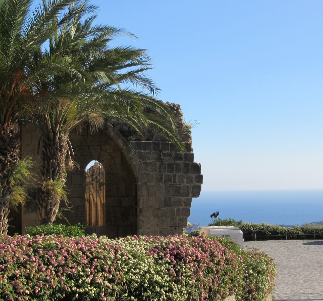 Photo by Kevin Mayne