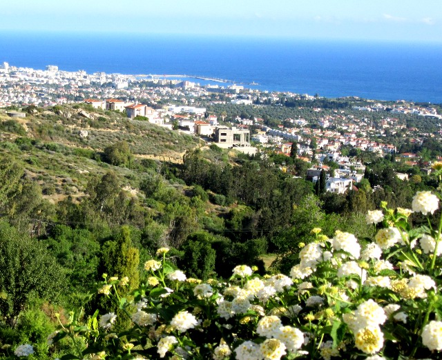 Photo by Kevin Mayne