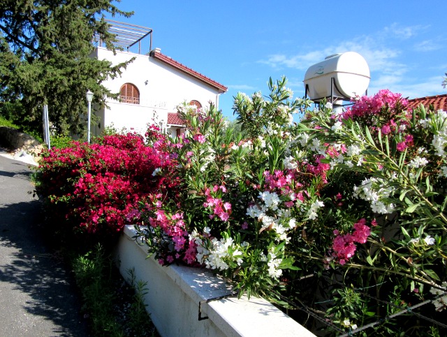 Photo by Kevin Mayne