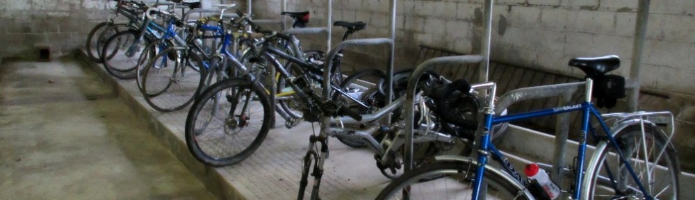 Photo by Kevin Mayne