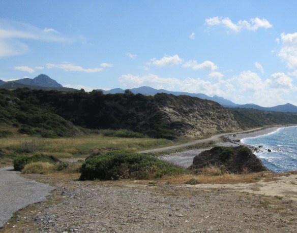 Photo by Kevin Mayne