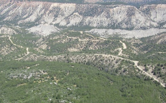 Photo by Kevin Mayne