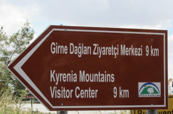 Photo by Kevin Mayne