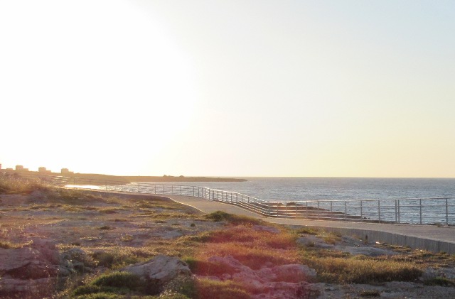 Photo by Kevin Mayne