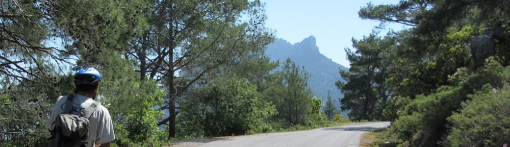 Photo by Kevin Mayne