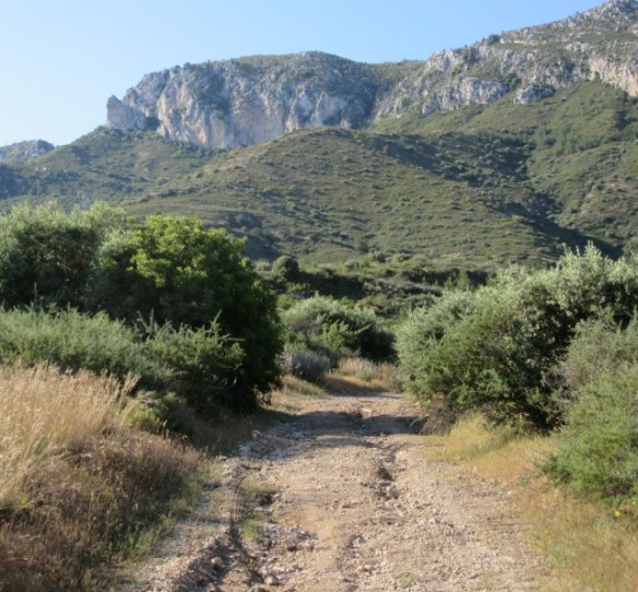 North Cyprus gravel road network mountain biking