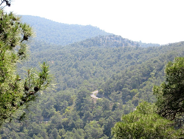 Photo by Kevin Mayne