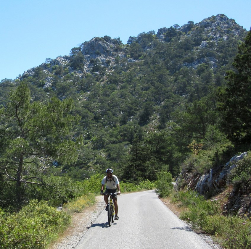 Photo by Kevin Mayne