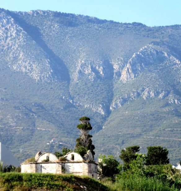 Photo by Kevin Mayne