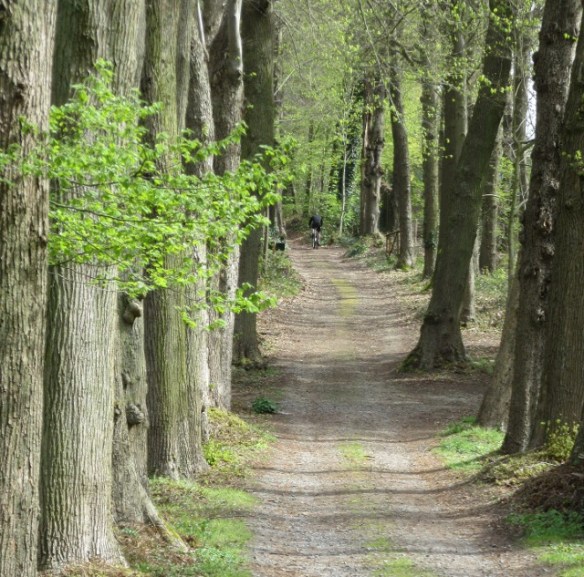 Photo by Kevin Mayne