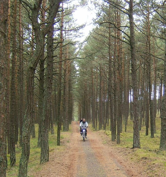 Photo By Kevin Mayne