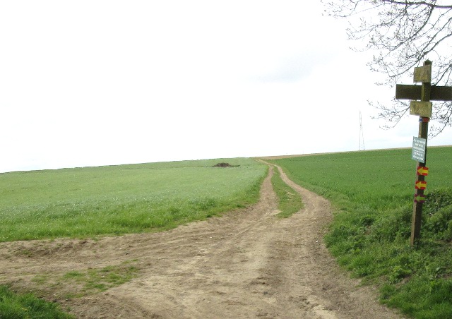 Photo by Kevin Mayne