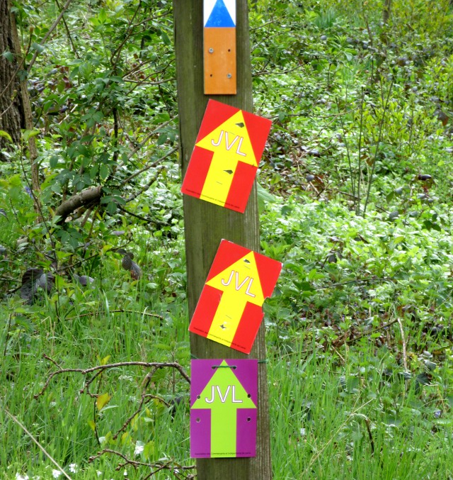 Photo by Kevin Mayne