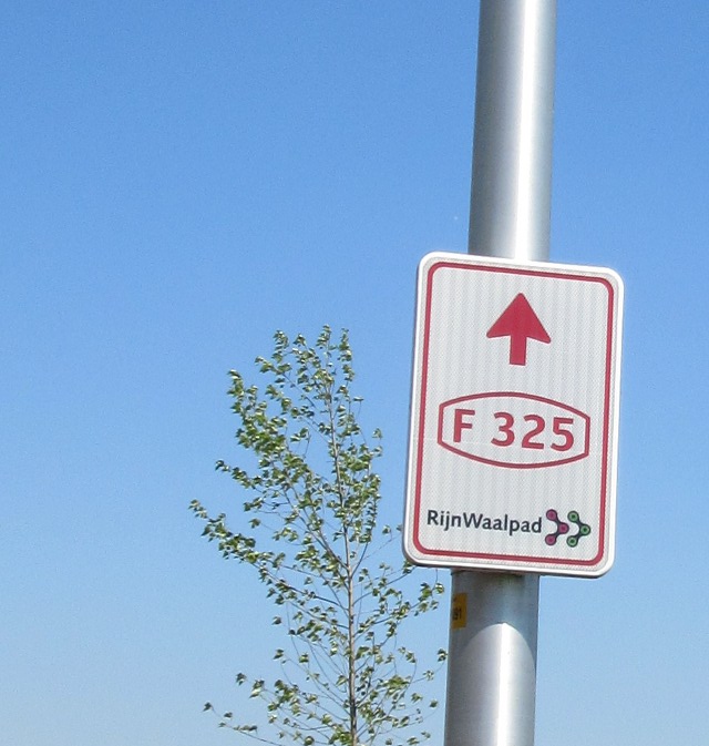 Photo by Kevin Mayne