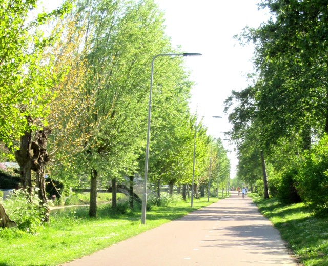 Photo by Kevin Mayne