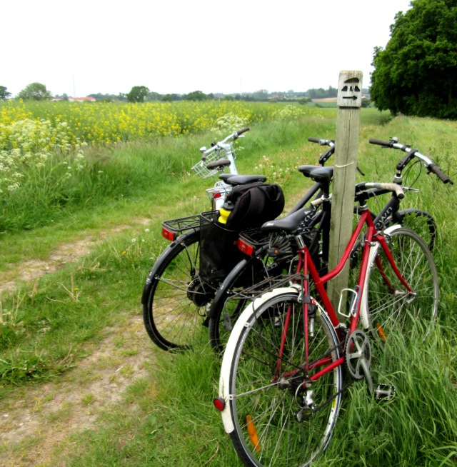 Photo by Kevin Mayne