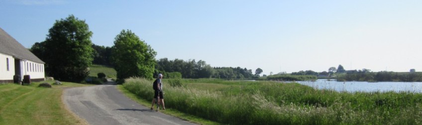 Photo by Kevin Mayne