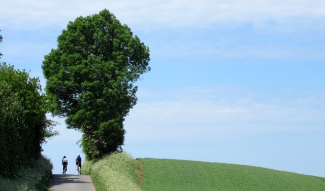 Photo by Kevin Mayne