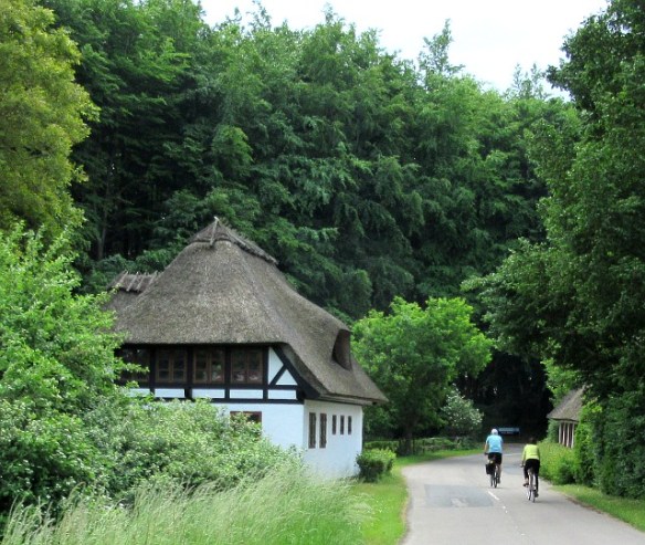 Photo by Kevin Mayne