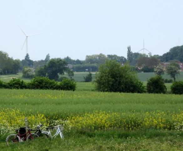 Photo by Kevin Mayne