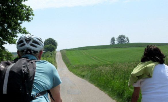 Photo by Kevin Mayne