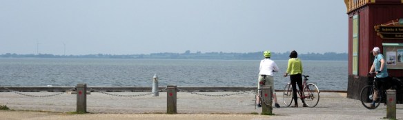 Photo by Kevin Mayne