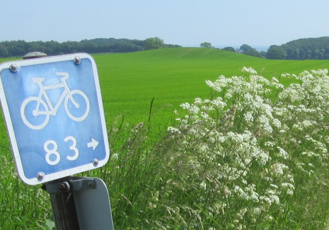 Photo by Kevin Mayne