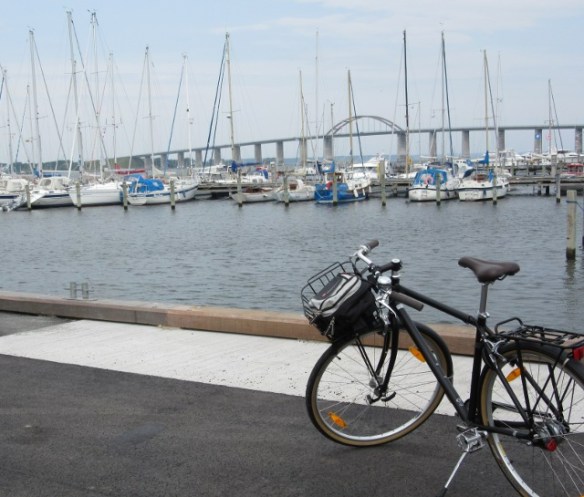 Photo by Kevin Mayne