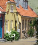 Photo by Kevin Mayne