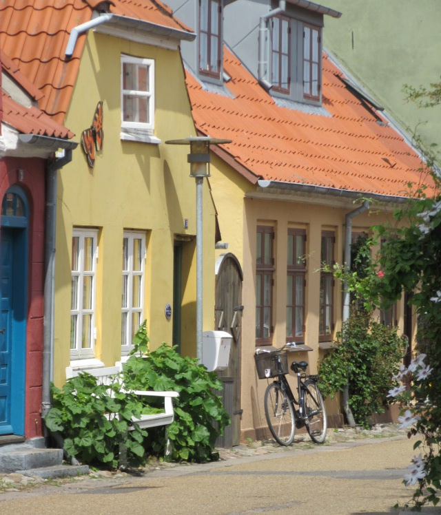 Photo by Kevin Mayne